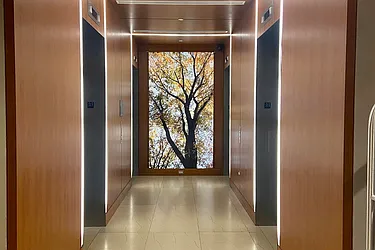 Rented by (Legacy) Elegran