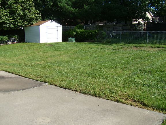 Back yard