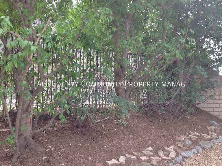 6563 Whitman Ct — Photo 43