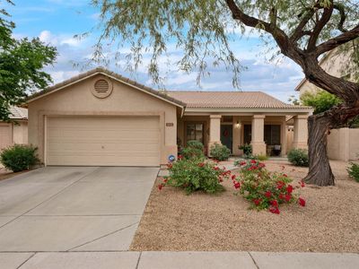 4012 E Prickly Pear Trl, Phoenix, AZ, 85050