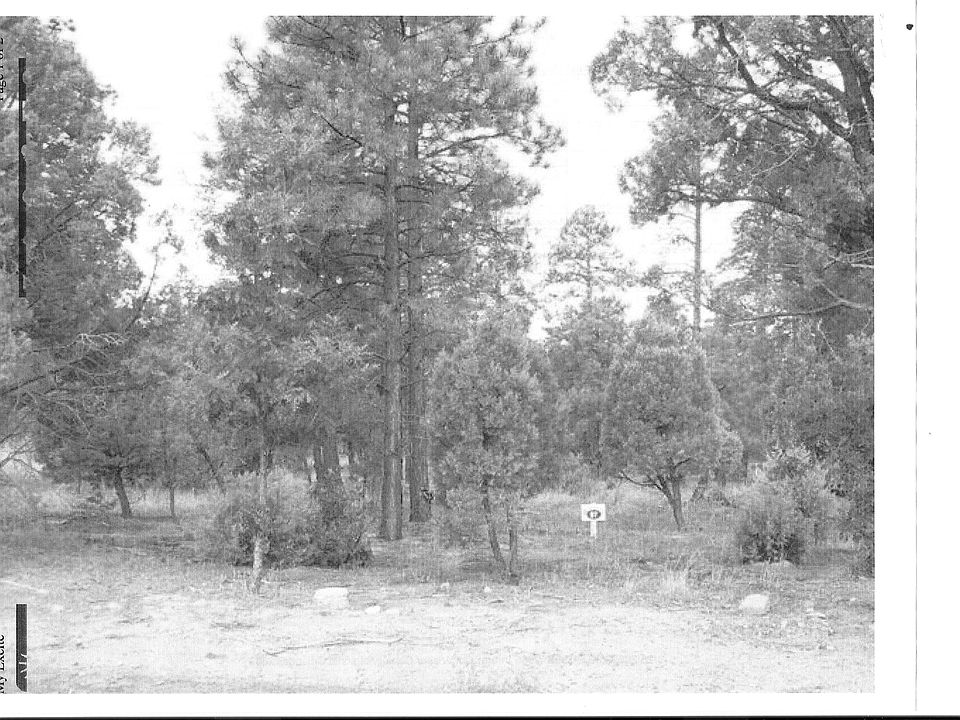 2nd image of 5005 Silver Mountain Dr. Lot # 97