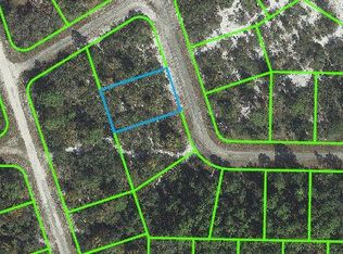 340 Merita Rd NW, Lake Placid, FL 33852