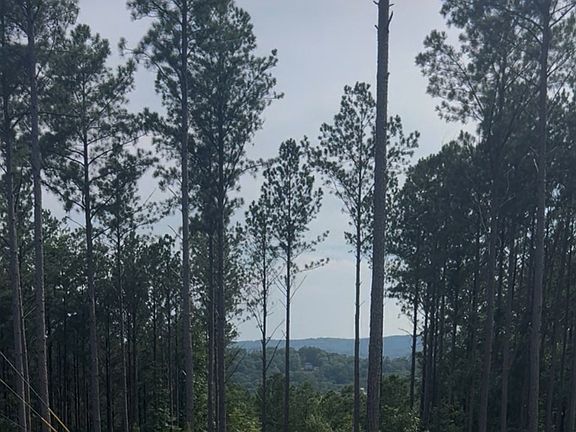 2nd image of 103 Blalock Mountain Rd