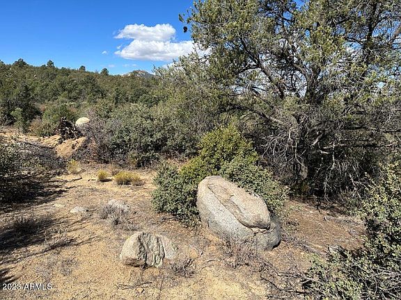 4th image of 17XXX S Pinon Lane #M1