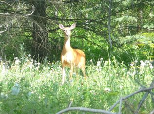 5355 Road 51, Aurora, MN 55705