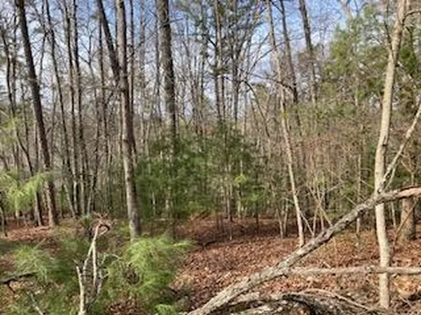 LOT 1032 Eagle Dr, Ellijay, GA 30540