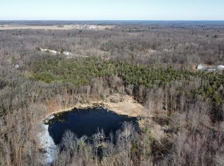 22851 Waterwheel Rd, Pierson, MI 49339