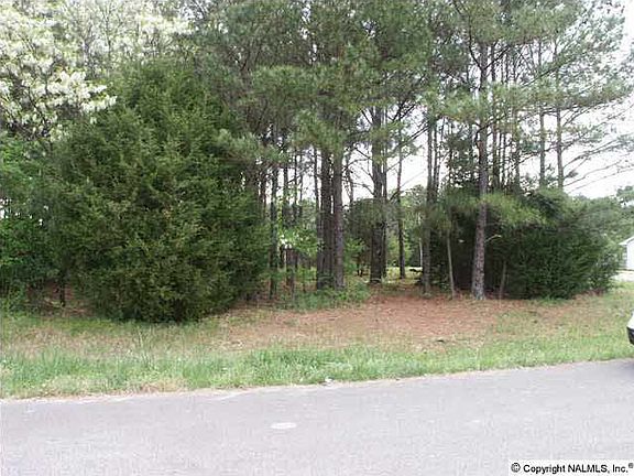 5th image of 113 John Walker Dr