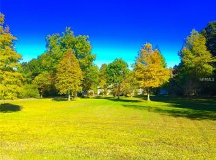 19401 Pine Tree Rd, Odessa, FL 33556