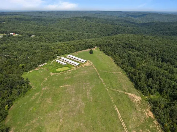29316 Bidwell Creek Rd, Fredericktown, MO 63645