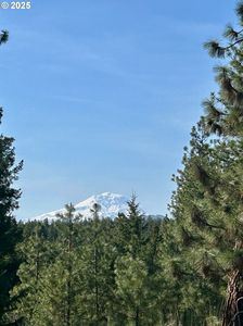 498 Turkey Ranch Rd, Goldendale, WA, 98620