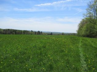 Burdick Medbury Rd, Norwich, NY 13815