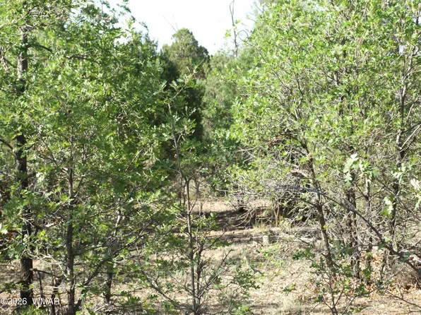 LOT Lamb Dr #C, Pinedale, AZ 85934