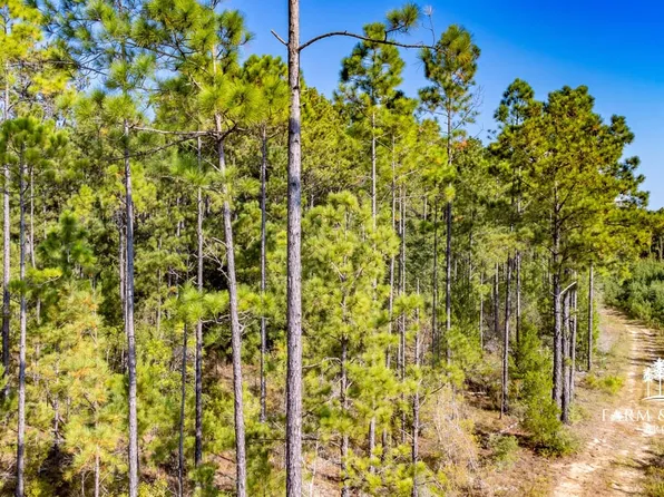 Xx1 Griffin Ln, Bonifay, FL 32425