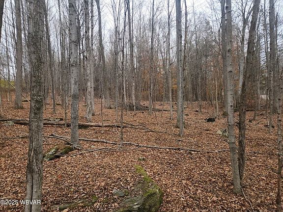 5th image of 1750 Murphy Rd