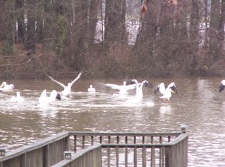 5 Lake Shore Dr, Morrilton, AR 72110