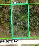 1st image of 11391 MISSISSIPPI KITE AVENUE LOT 12