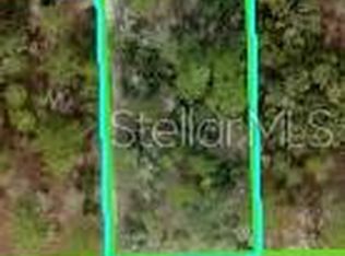 11391 Mississippi Kite Ave LOT 12, Brooksville, FL 34614