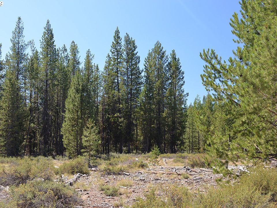2nd image of Bear Flat Rd
