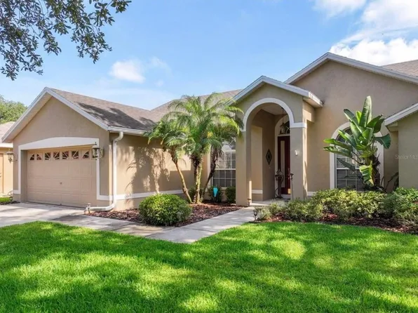 7272 Bucks Ford Dr, Riverview, FL 33578