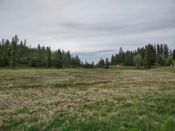X E Jump Off Rd Lot 1, Valley, WA 99181