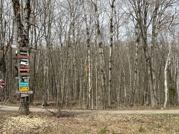 LOT Silverwood Rd, Minden Hills, ON K0M 2K0