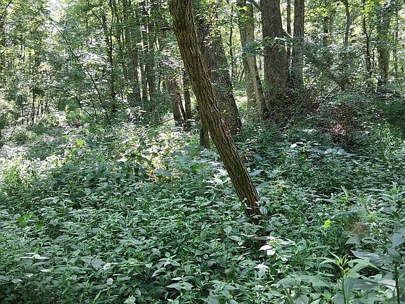 2nd image of 261 State Rd