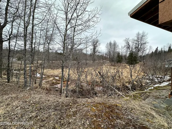 73564 Ann Rd, Anchor Point, AK 99556