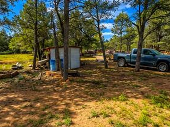 Thumbnail 16