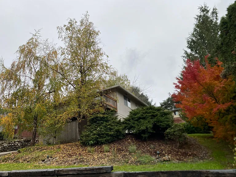 8617 SW 49th Ave #HOUSE — Photo 1