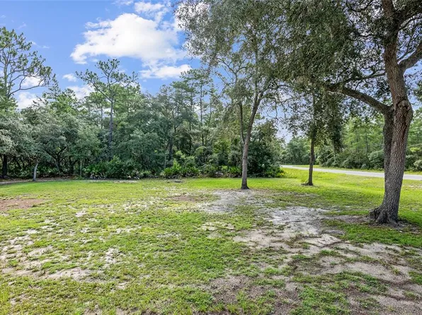 Fisher Way #9, Ocklawaha, FL 32179