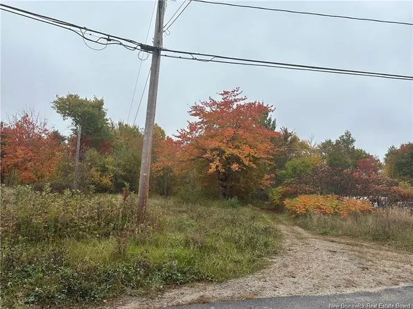 72 Old Harvey Rd, McAdam, NB E6J 1B8