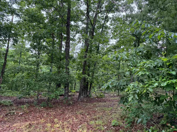 Off Of Morgan Cave Rd, Harrison, AR 72601