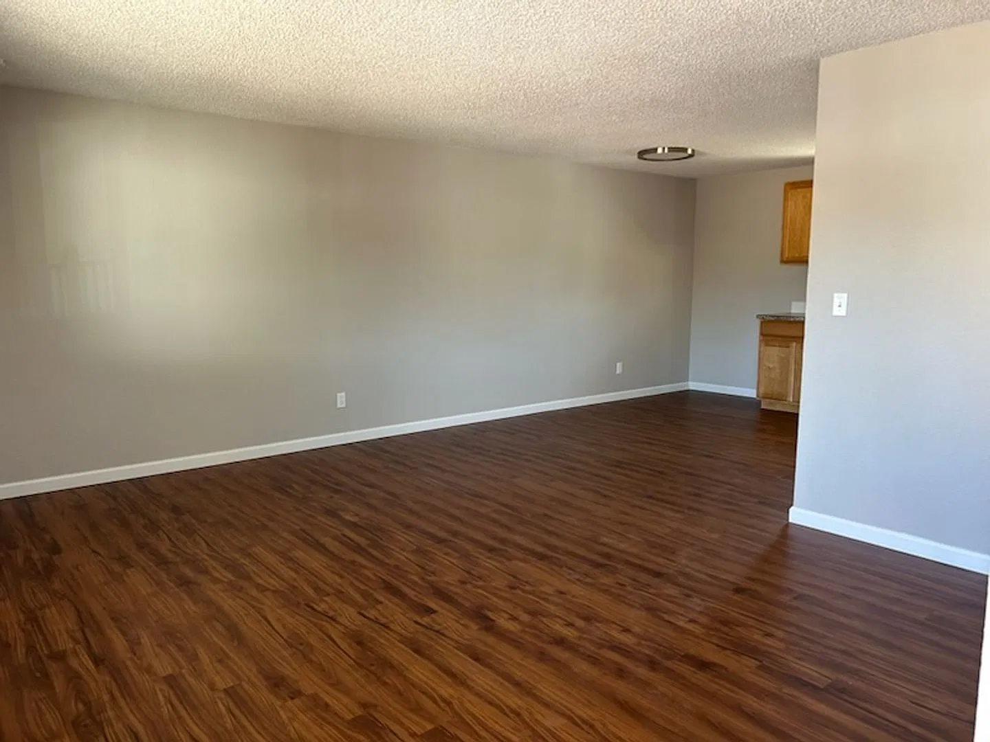 903 Hersinger PL — Photo 4