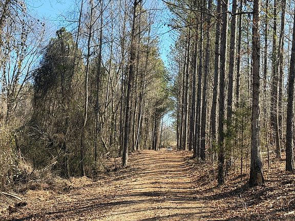 1ff50b49 6174 4139 97e1 9a2e1f54898b