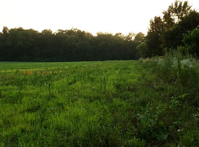 2nd image of N Farwell Bridge Rd