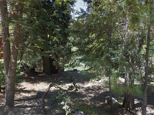 0 Manzanita Ave #110, Angelus Oaks, CA 92305