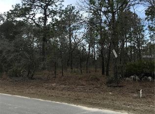 12130 Ipswich Sparrow Rd, Weeki Wachee, FL 34614