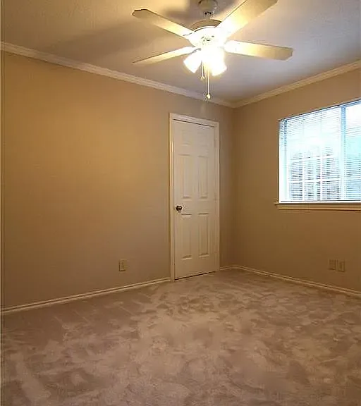229 Bethel Rd — Photo 19