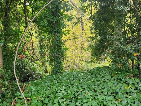 6327 18th Avenue SW, Seattle, WA 98106