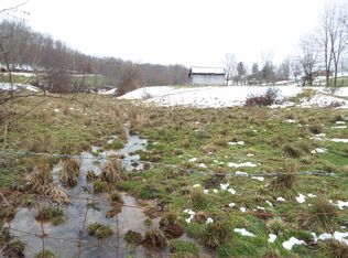 Raders Valley Rd, Williamsburg, WV 24991