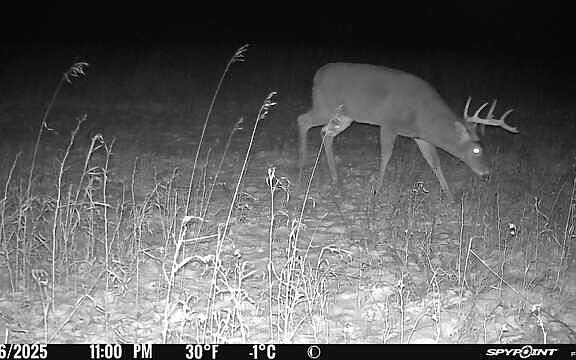 3rd image of V/l 80ac Holiday Rd
