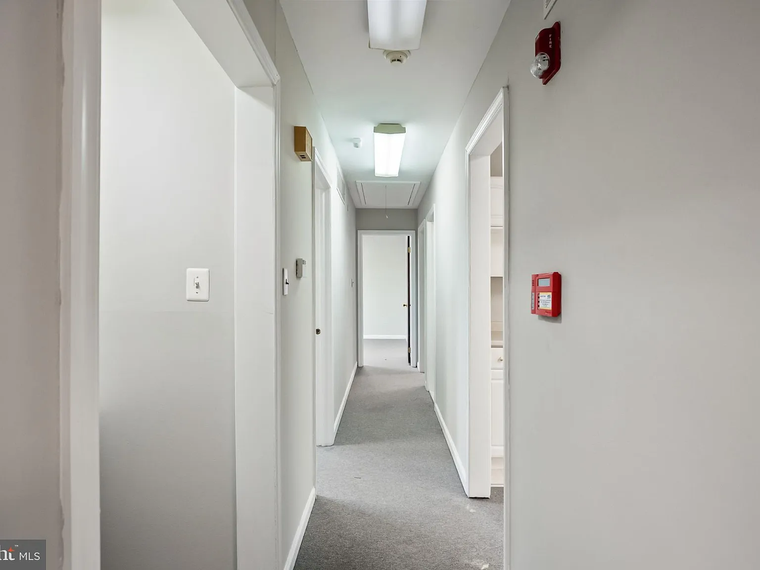 3 bed, 1.0 bath, 1000 sqft, $2,500 — Photo 3