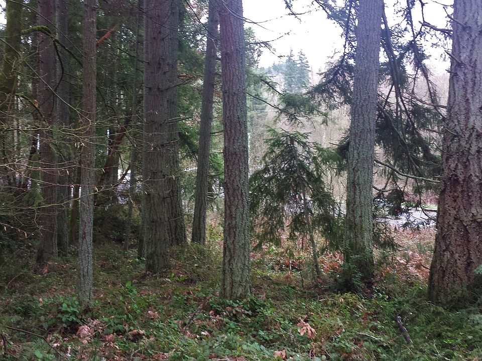 2nd image of Timber Lane Nw
