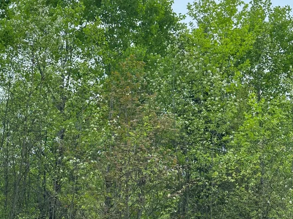 Kelly Dam Rd Lot 9, Tomahawk, WI 54487