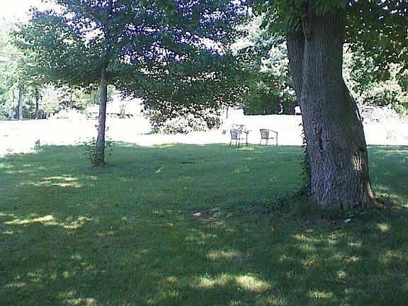 Large back yard
