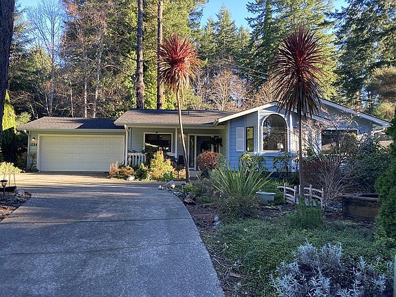 new roof and chimney