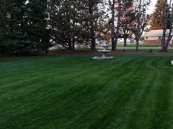 Front yard
