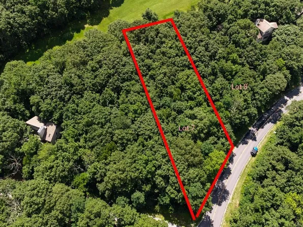 167 Devils Knob Loop, Wintergreen Resort, VA 22967