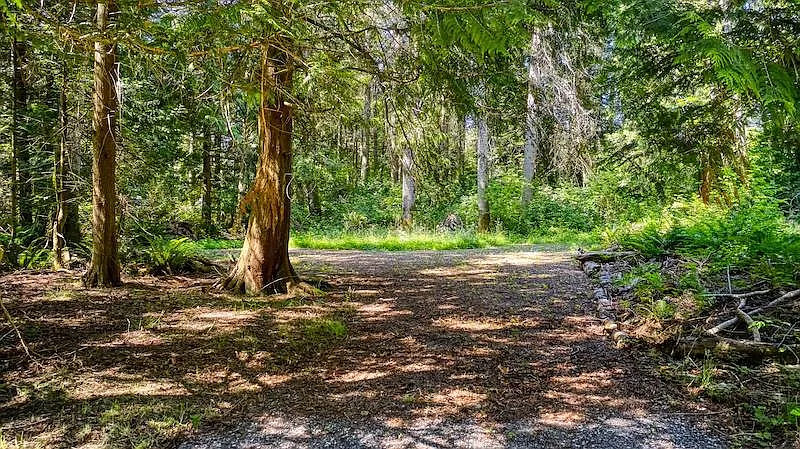 LOT 4 McKenzie Way photo 1